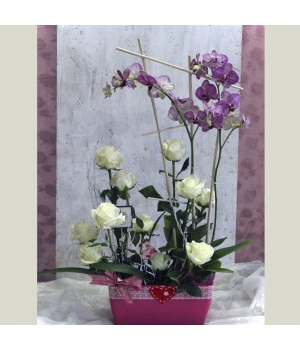 Centro de Orquideas y rosas Centro de Orquideas y rosas