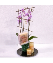 Conjunto orquidea con aromas