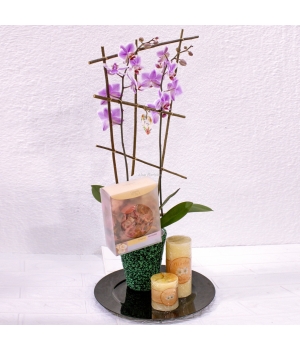 Conjunto orquidea con aromas Conjunto orquidea con aromas