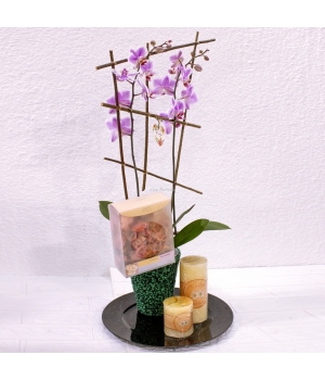 Conjunto orquidea con aromas