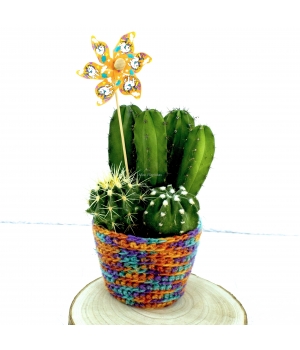 Detalle Cactus Detalle Cactus